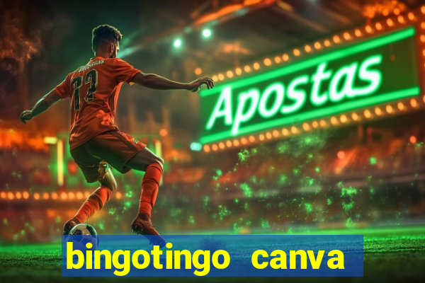 bingotingo canva pro gratis